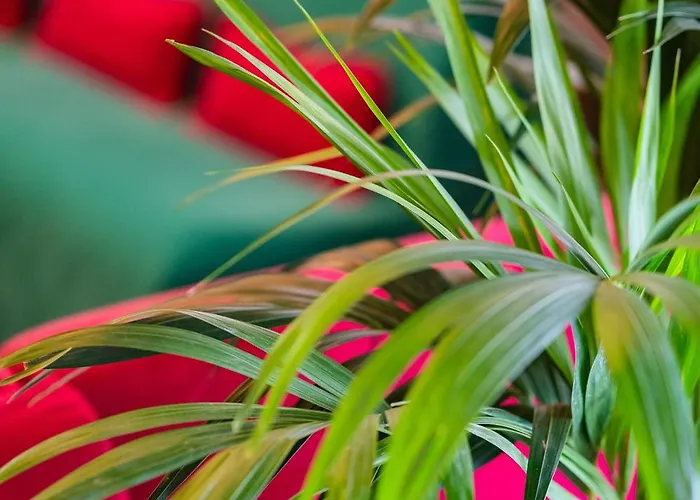 Gritti Hotel Lido di Jesolo