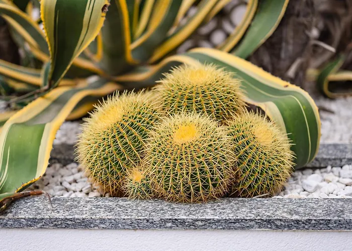 Gritti Lido di Jesolo
