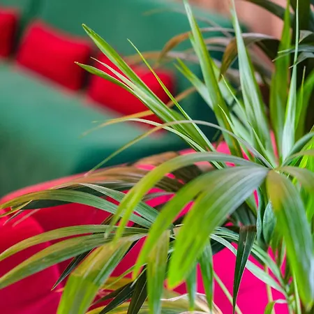 Gritti מלון לידו די ג'סולו